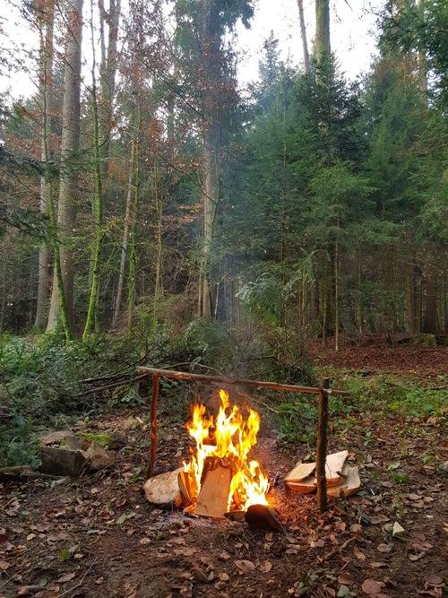 Lagerfeuer im Wald